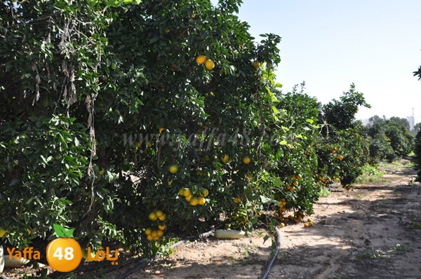 bayara visiting (5).JPG